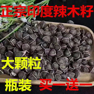 包邮 正宗印度辣木籽250克 500克食用进口老树野生特级辣木子
