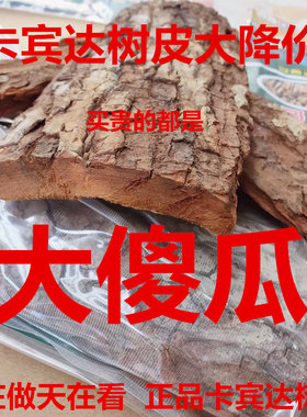 正品卡宾达树皮1.2厘米非洲安哥拉Kuba男性滋补保健250 500克包邮