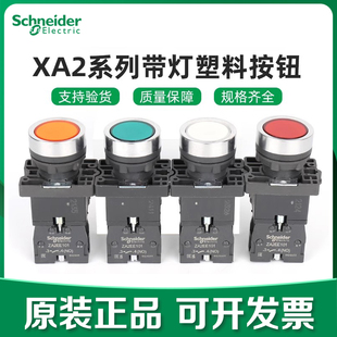 自复位220V 施耐德XA2EW33B1绿色带灯按钮24V经济型塑料款 正品