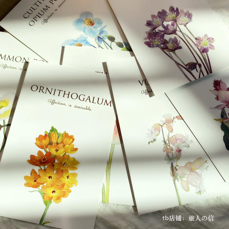 米拉贝尔花园盒装明信片清新文艺贺卡/明信片