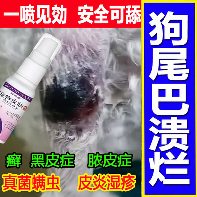 狗狗尾巴溃烂猫咪尾巴毛囊炎皮肤病专用药外用喷剂脓皮症皮炎掉毛