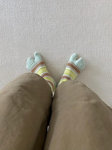 夯住了！tabi猪蹄鞋女孩chao隐美条纹分趾袜～配色太美腻了！