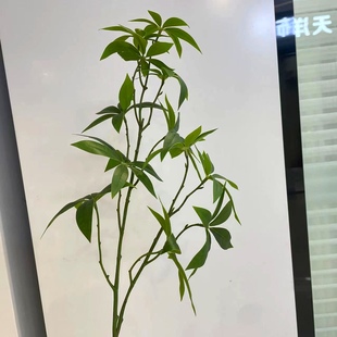 仿真发财树叶子高仿手感过胶招财树叶客厅办公室装饰绿植叶假树枝