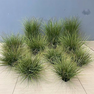 高品质仿真草团装饰仿真小草金丝苔草菖蒲草造景草丛草堆芦苇草