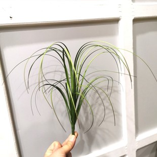 仿真草 菖蒲草灌木丛线条草芦苇工程景观地面植物杂草造景装饰草