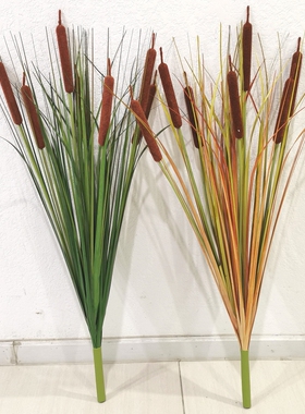 仿真花假花蒲棒水蜡烛客厅橱窗装饰拍摄影视道具
