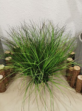 仿真造景假水草植物摆件