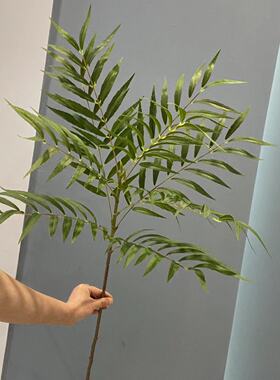 仿真棕榈叶单支凤尾叶散尾葵叶蕨类植物客厅装饰做树材料拍摄道具