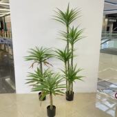 仿真绿植客厅装 饰剑麻龙舌兰千年木荷兰铁室内造景植物高端轻奢落