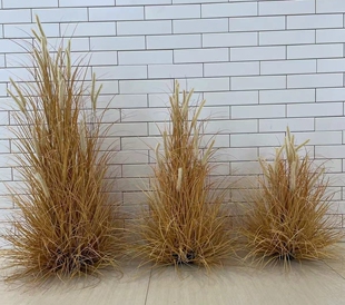 仿真狗尾巴草堆草团草丛盆栽造景装饰落地摆放狼尾草绿植假花摆件