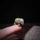 景德镇陶瓷禅意香座越窑手工小号可爱大象香插室内茶宠摆件吊坠