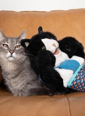 Wrestler:Interactive Hand Puppet摔跤手猫咪跨境新品 互动手木