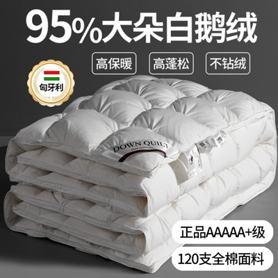 正品匈牙利95白鹅绒羽绒被被子冬被加厚保暖酒店单人双人春秋被芯