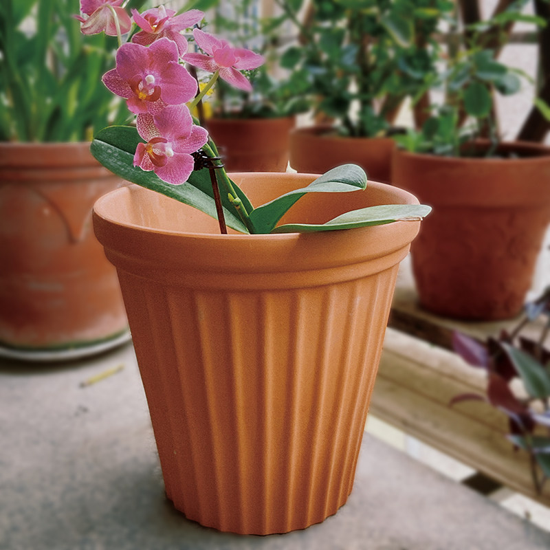 红陶土花盆透气粗陶复古浮雕大口径红陶盆瓦盆园艺绿植多肉盆清仓,鲜花速递/花卉仿真/绿植园艺,花盆,淘宝优惠券,粉丝福利购,淘宝优惠卷
