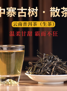 云南普洱茶冰岛茶区昔归古村中寨自家古树贡茶高香厚甜
