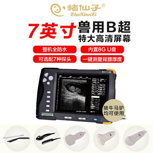 新款 兽用B超机羊牛驴用b超 测孕仪器猪用b超机 整机防水zxz-v6