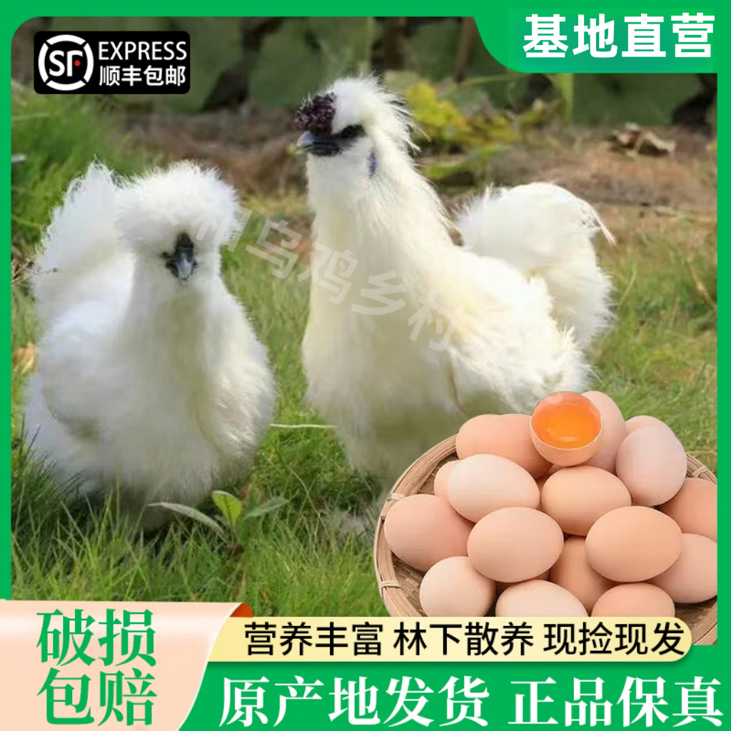 泰和乌鸡富硒整个散养乌鸡蛋