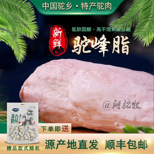 正宗新鲜骆驼肉驼峰肉骆驼峰子优质驼峰油骆驼脂食用生肉顺丰包邮