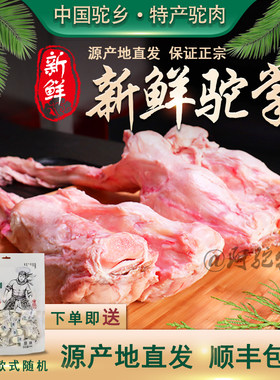 精选驼掌驼蹄正宗新鲜骆驼肉