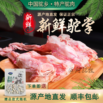 精选驼掌驼蹄正宗新鲜骆驼肉