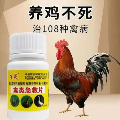 鸡鸭鹅鸽子家禽用预防养殖常备