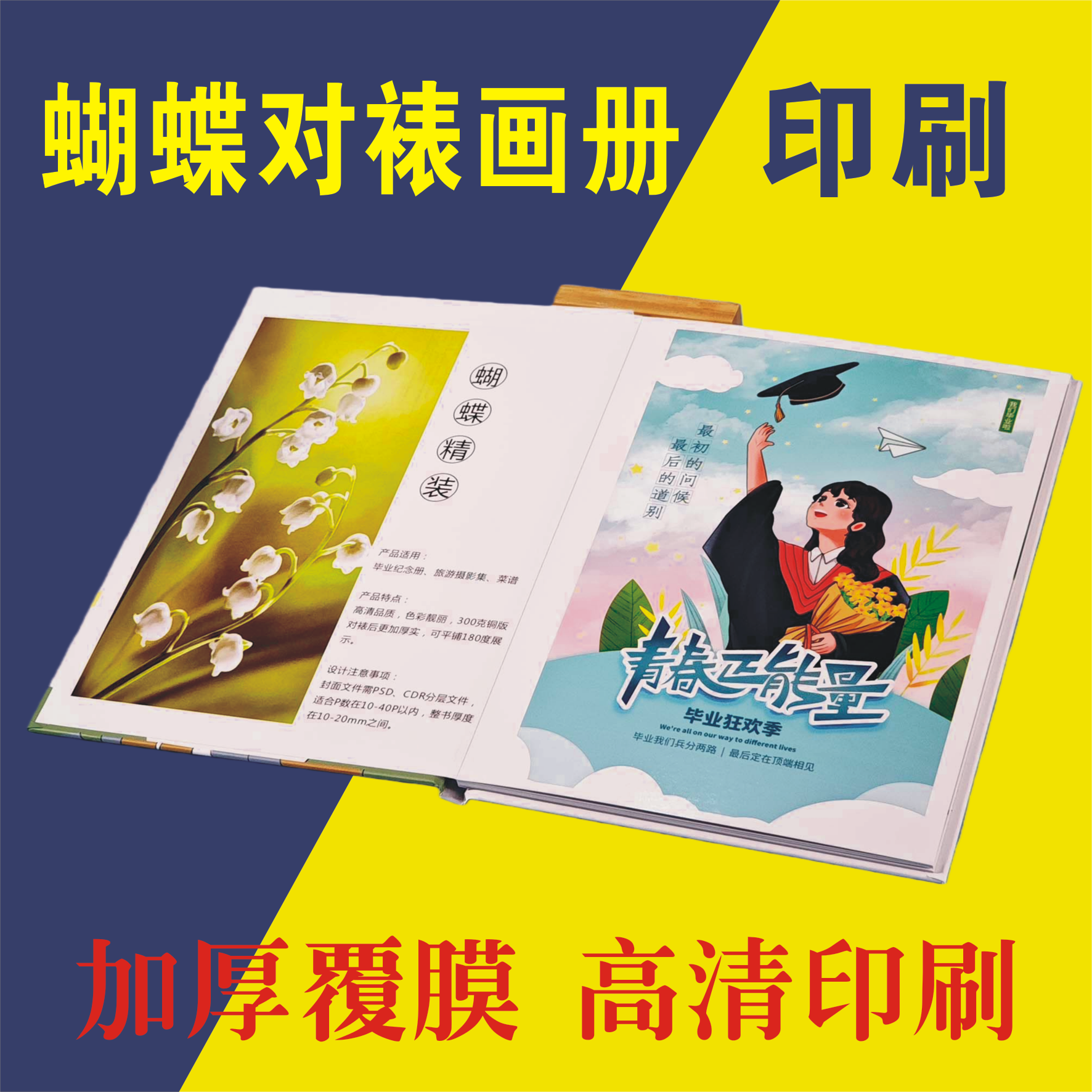 蝴蝶对裱画册宣传图册作品集