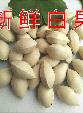 2025年新鲜白果银杏果1-5斤装包邮无漂白生百果大佛指带壳银杏仁