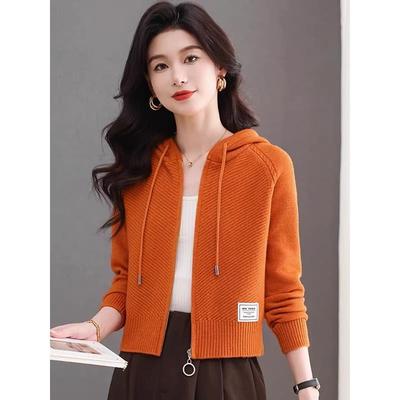 2025秋季新款连帽拉链针织开衫女小个子短款时尚休闲薄款毛衣外套