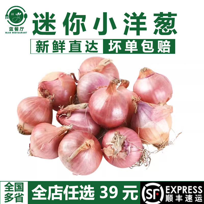 迷你上海市500g生吃蓝餐厅新鲜