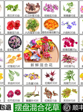 新鲜摆盘花草餐厅摆盘装饰花草