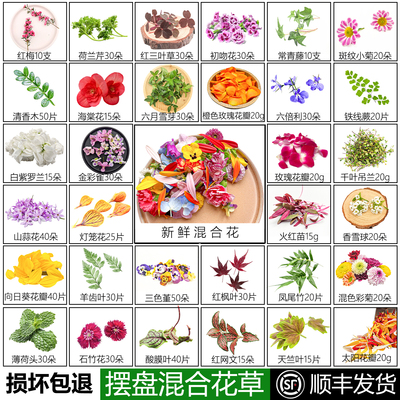 新鲜摆盘花草餐厅摆盘装饰花草