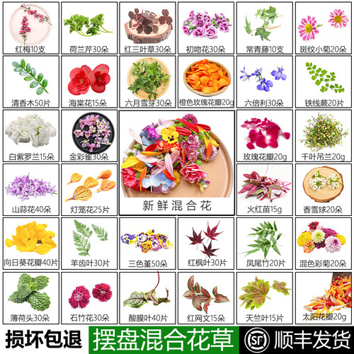 新鲜摆盘花草餐厅摆盘装饰花草