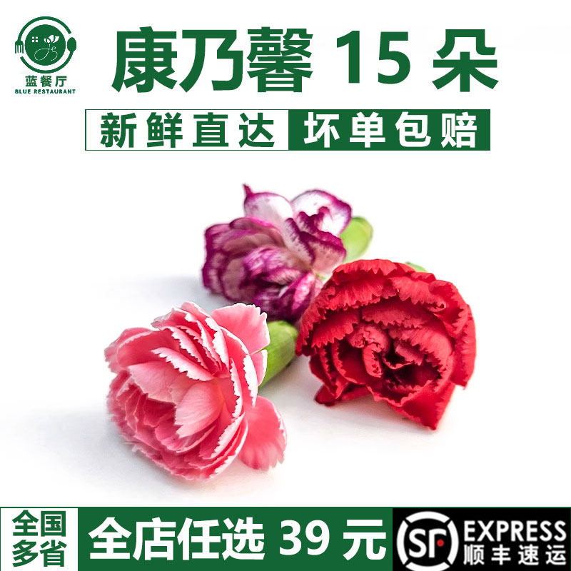 新鲜康乃馨花朵 西餐私房菜意境摆盘花草 酒店厨师冷盘创意点缀花