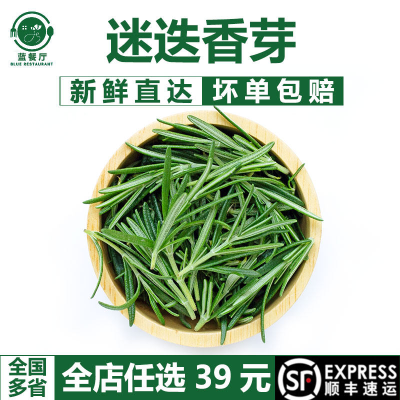 【蓝餐厅】新鲜迷迭香芽 精选嫩芽 可食用香料 烘焙装饰 摆盘花草