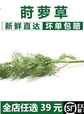 【蓝餐厅】新鲜莳萝草泰国可食用香料Dill刁草餐饮调味装饰叶