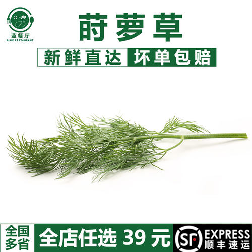 新鲜莳萝草酒店会所冷艺配菜