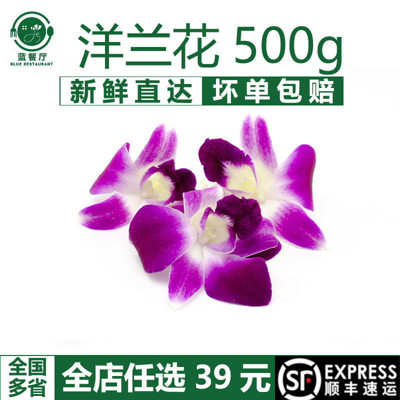 泰国洋兰花500g石斛兰酒店装饰