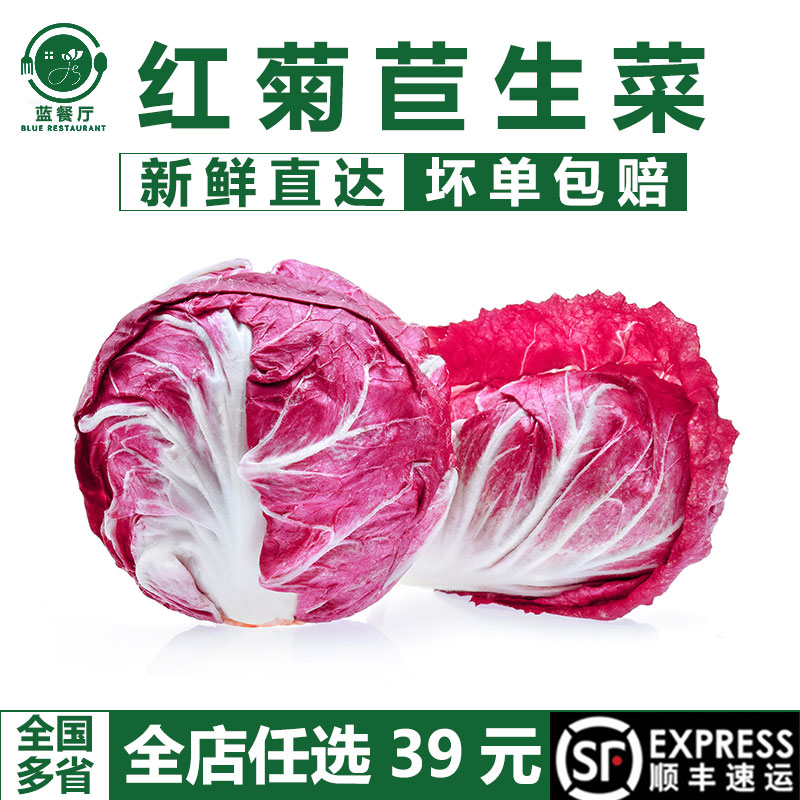 蓝餐厅新鲜红菊苣生菜西餐沙拉