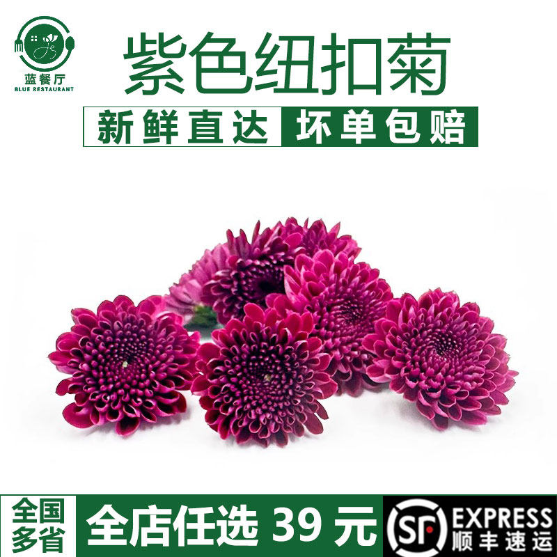 蓝餐厅新鲜紫纽扣菊20朵刺身