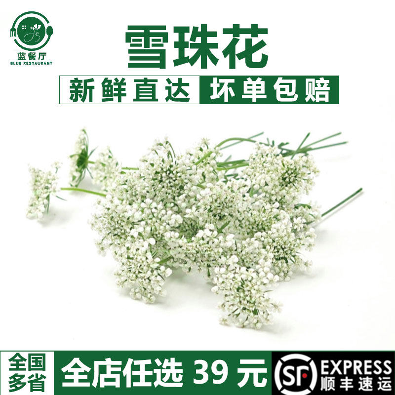新鲜雪珠花餐厅冷盘菜品摆盘装饰