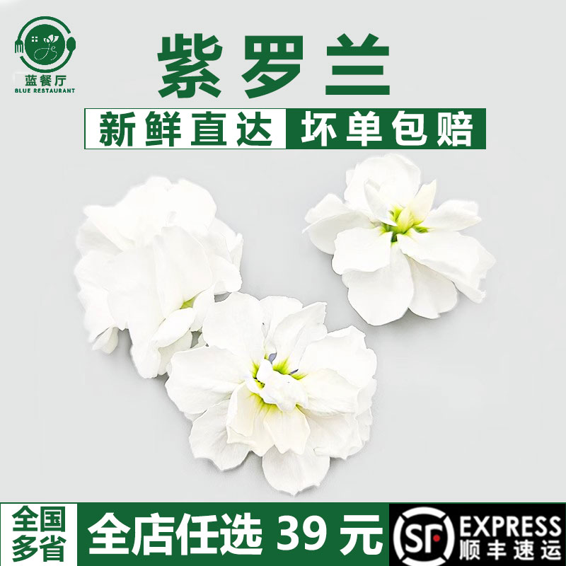 蓝餐厅新鲜餐饮冷盘菜品摆盘