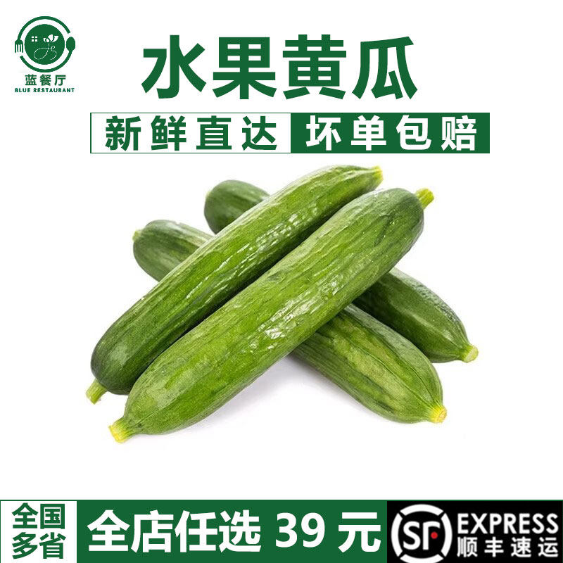 蓝餐厅500g新鲜水果黄瓜小黄瓜无刺短黄瓜新鲜蔬菜沙拉食材