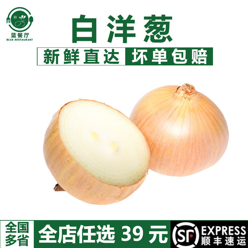 新鲜洋葱黄皮白心洋葱商用大葱头