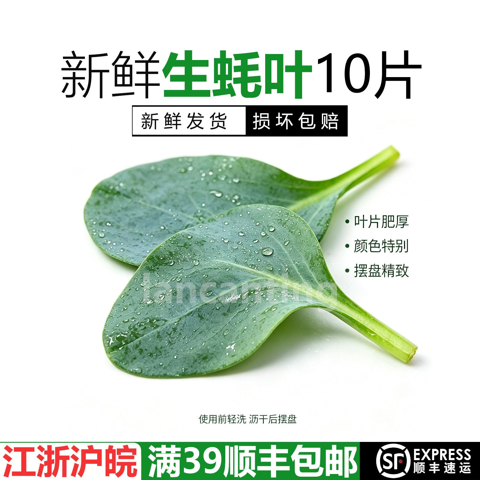 新鲜生蚝叶片可食用西餐素食沙拉