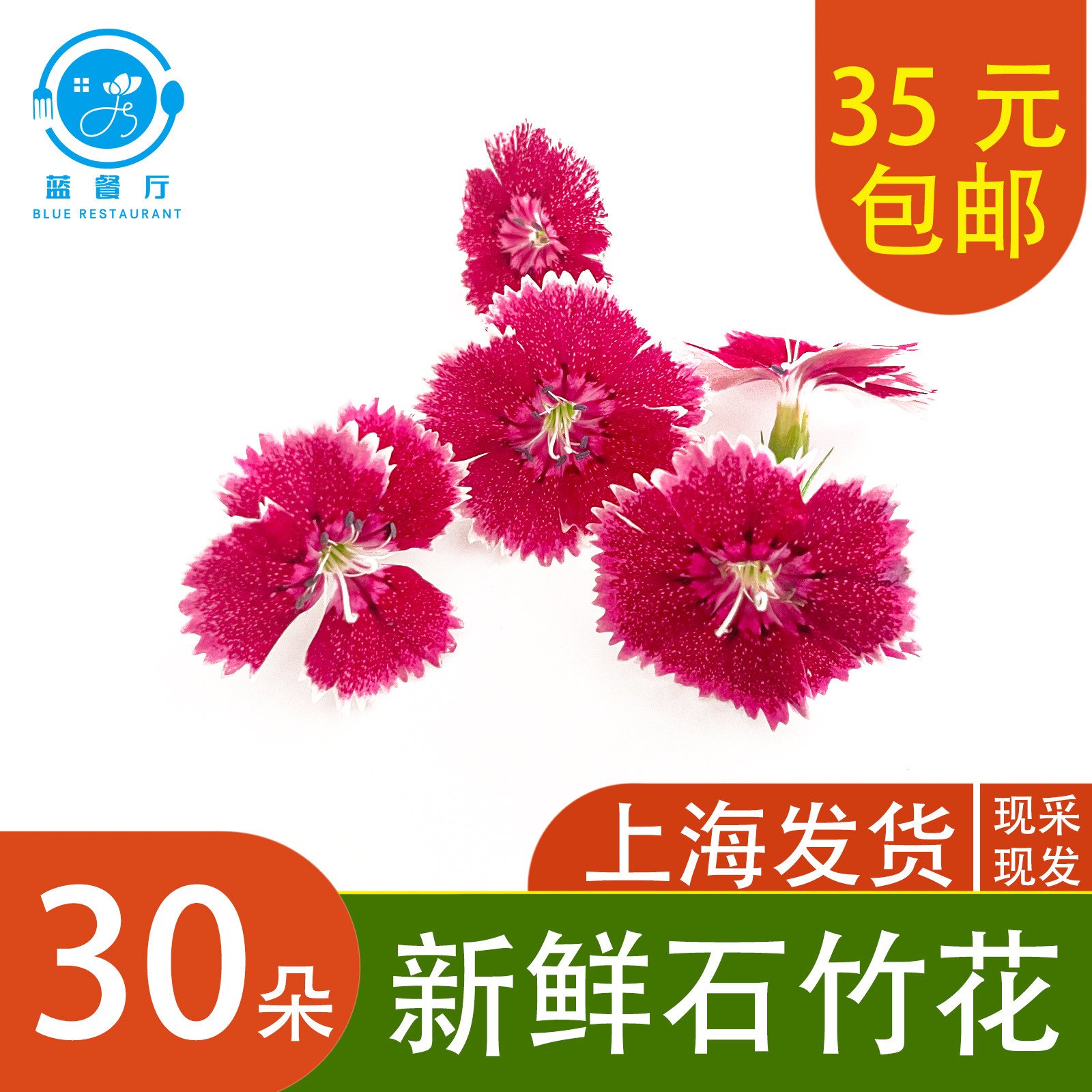 【蓝餐厅】石竹花 餐厅菜品摆盘新鲜花草 日料拼盘装饰点缀石竹花