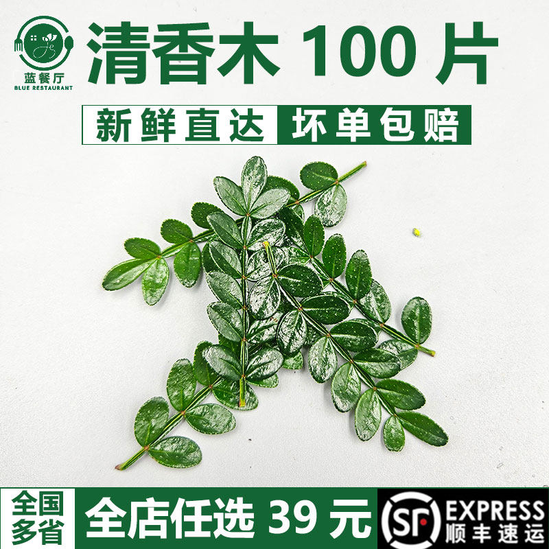 新鲜清香木叶子100片胡椒木香叶酒店饮品蛋糕摆盘装饰烘焙点缀