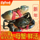 2斤装 包邮 青蟹鲜活大海螃蟹海鲜过年好礼 顺丰 3只 渔民母蟹
