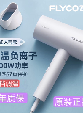 飞科吹风机护发恒温负离子家用宿舍学生大功率冷热风FH6276可折叠