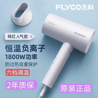 飞科吹风机护发恒温负离子家用宿舍学生大功率冷热风FH6276可折叠