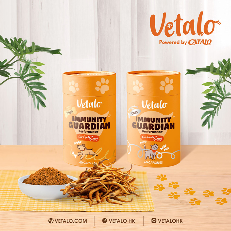 CATALO家得路VETALO宠物营养虫草CS-4自护1粒=13条虫草含辅酶Q10